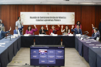  Reunión Ordinaria de Comisiones Unidas de Minería y Estudios Legislativos, 12 de marzo de 2025